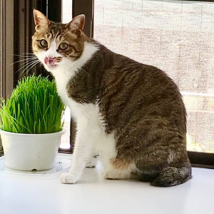 8195d5cc a675 43f6 bb12 7fa90c995ce6