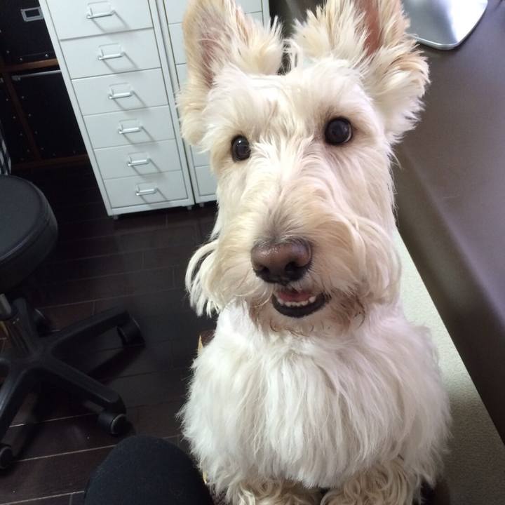 8195eb03 66f0 4a81 bb7f ee69282726d3