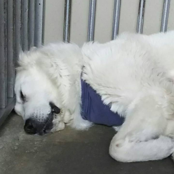 81965b83 e435 4e6a 8ccf a688162ce488