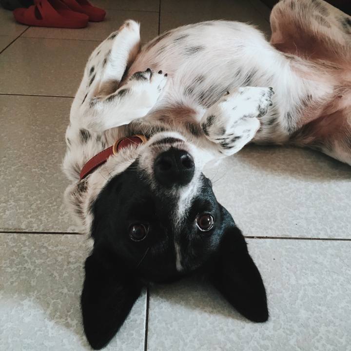 8196707d a076 4a4b 9f4f 54b6824a52c9