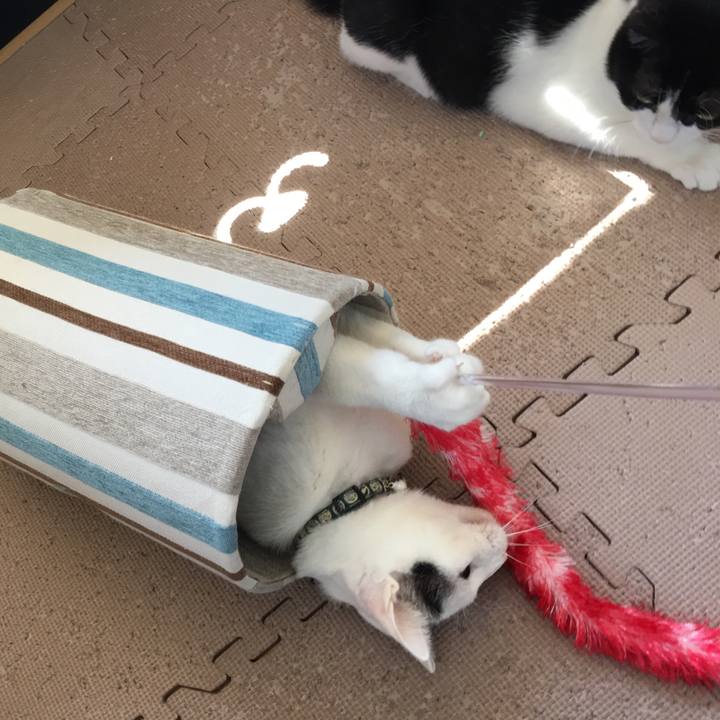 8196a187 2dc2 41bc beda 7bbf5ee50d03