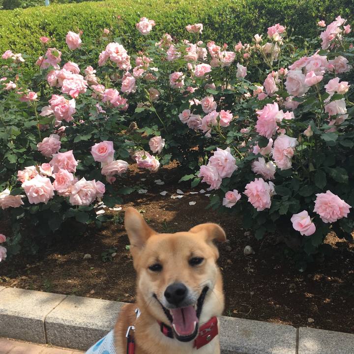 8196f300 2667 4666 82e3 c5d1c3830761