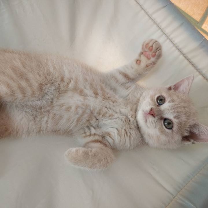 8196fc80 9a45 4107 8628 b857bfbfc633