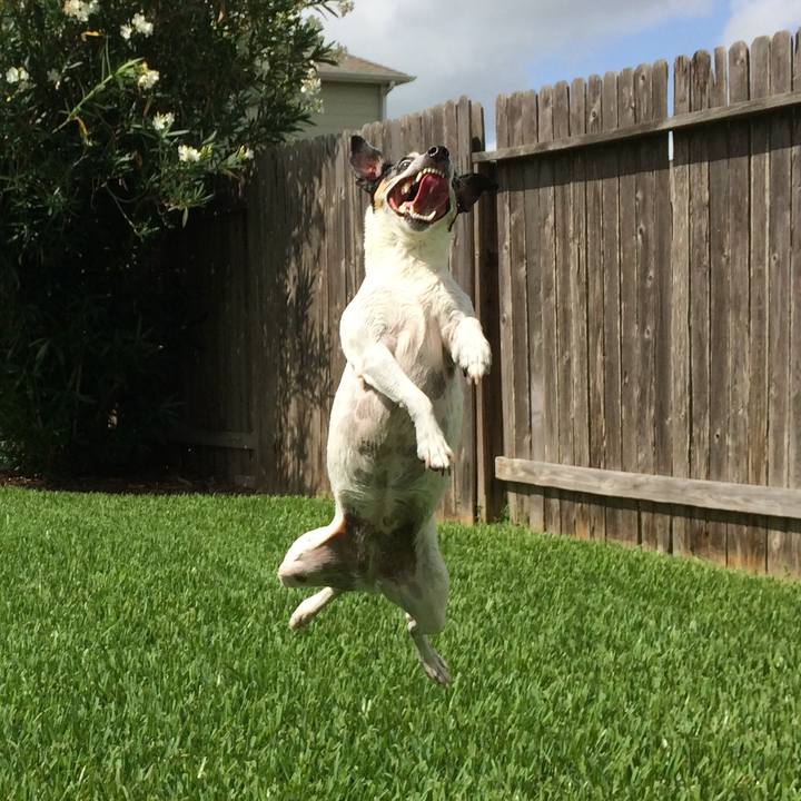 81974c3c 551d 495e bbb4 10b3a6847a61