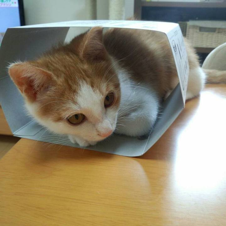 81978c75 1c6c 45a0 82a8 4376829849bf