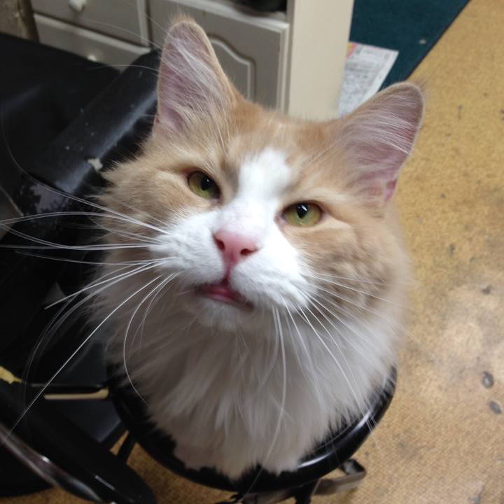 8197c2ed db9b 4e3d b6a8 3e88165a0ba5