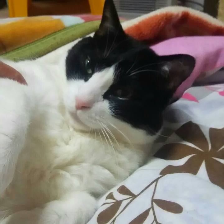 81986d9e a7b8 40d2 8012 e8f3e4852566