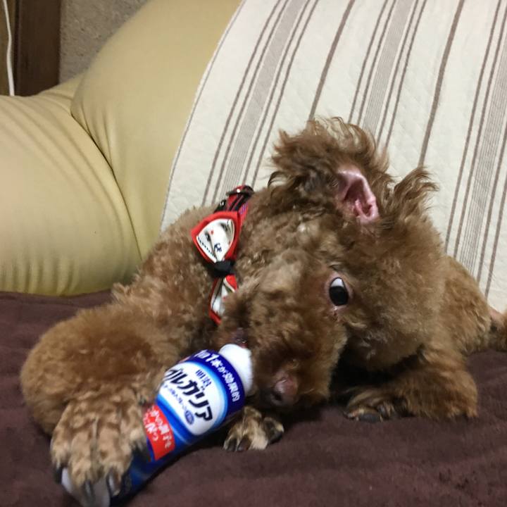 81987b8c 9cf4 4e6e af83 d74cac3616b9