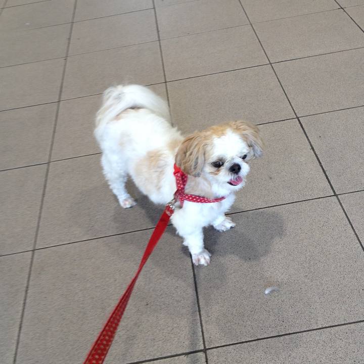 8198c93a 1ad0 4b29 ade4 d1f9b335fd14