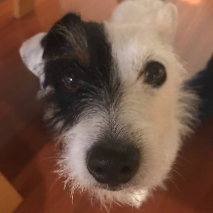 8198d38b 56c0 4997 8fc6 2971b943c6bd