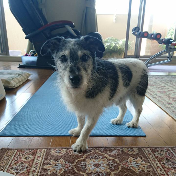 8198e2f3 4bf5 41b5 8e05 e048bca55018