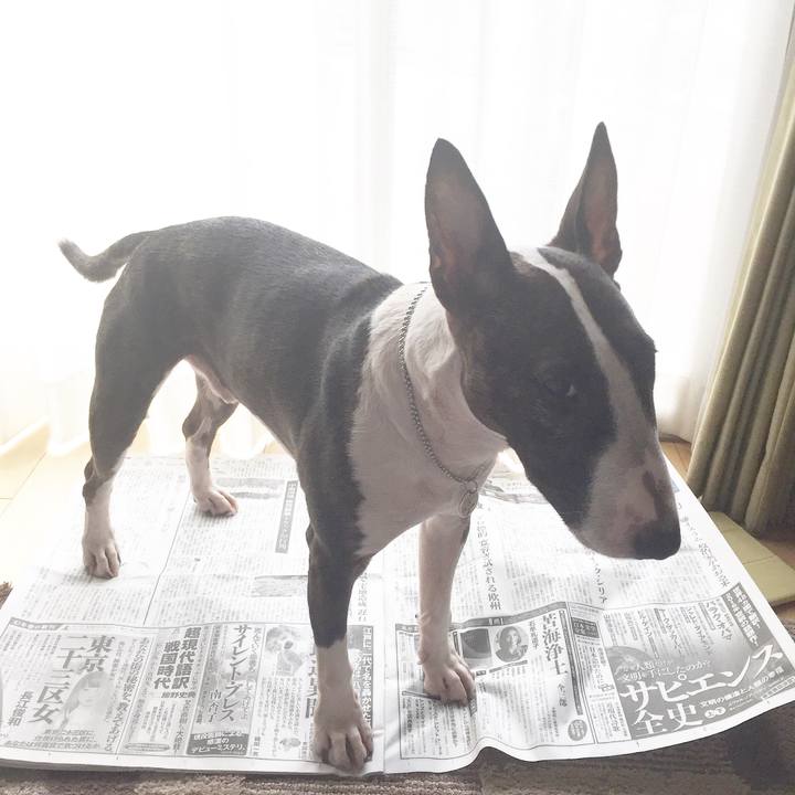 8198f1c2 09f6 4516 a89d 500b23b5fef9