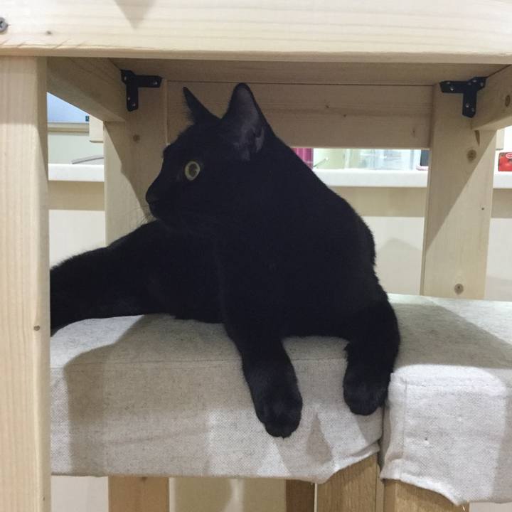 81997411 a3ee 4135 8f1f 088bea97abed