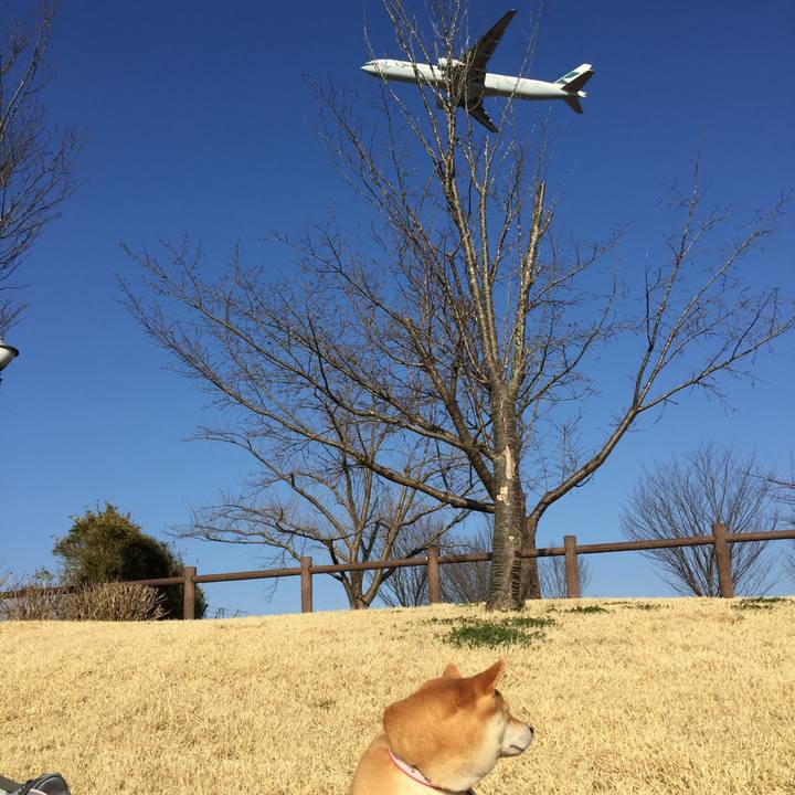 8199a204 e175 45a0 b65e 60ff1eabcc41