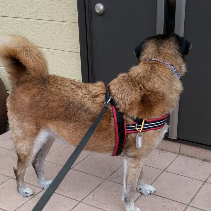 8199e019 bce5 4791 86a8 3d13895791f4