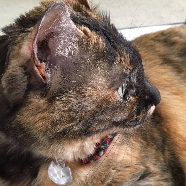 819aee23 fc29 4ed3 9199 2ebd7471d33b