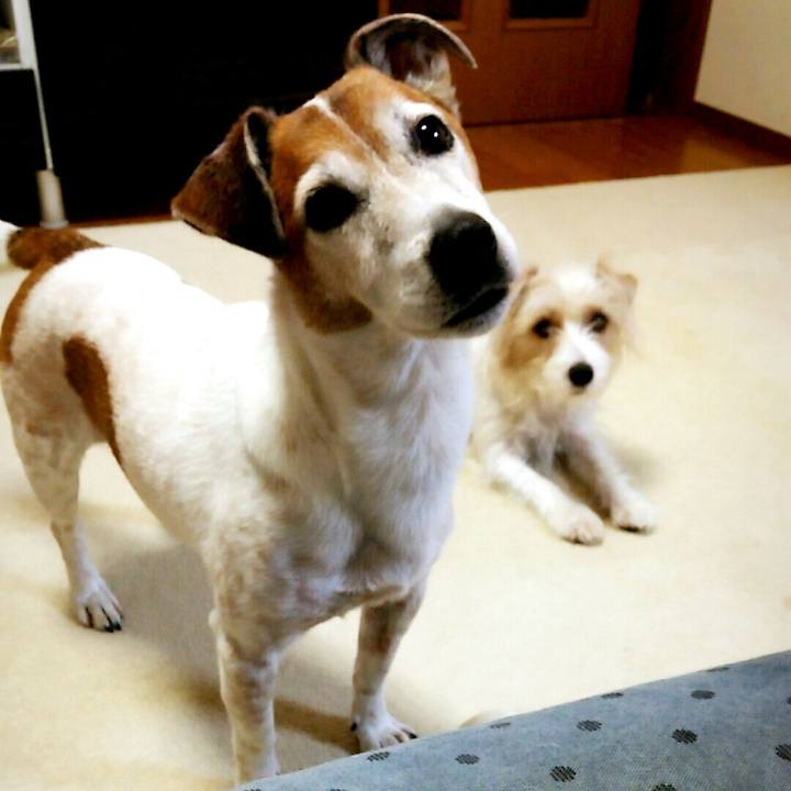 819b54ef 070a 4cef a130 a03d5d1cc0d0