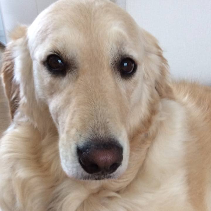 819b8a8a 6406 4c9e 8f2f 809a74b31665