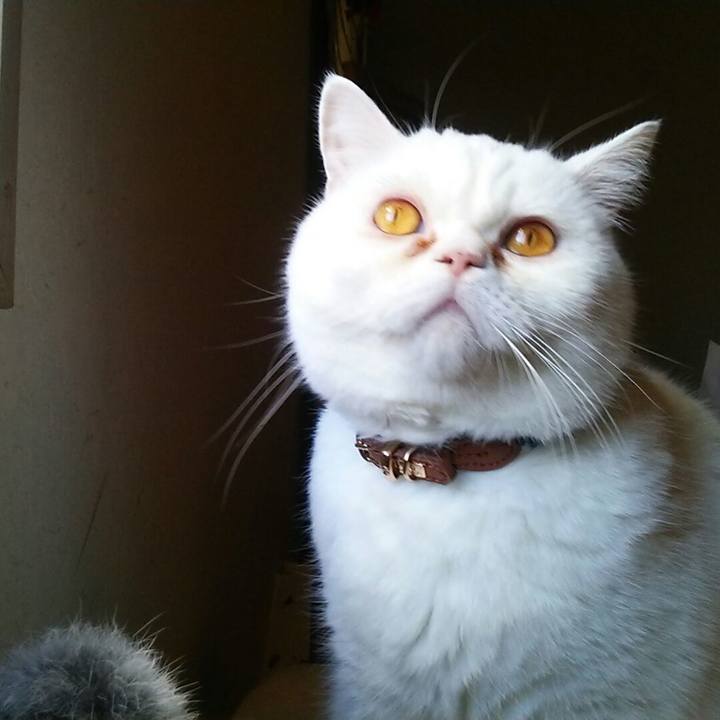 819bacdb 9f35 4bea adae 2abb9674c72e