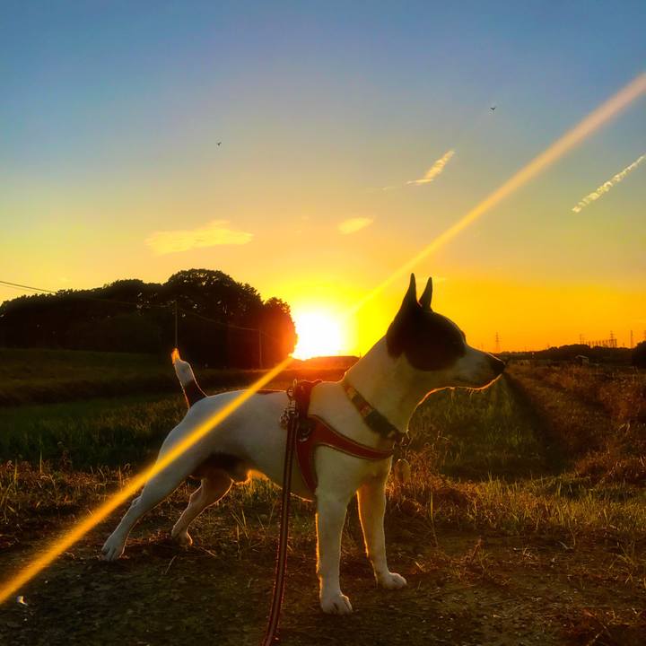 819bb1ee 6a2a 4f03 830d 6d3b3900378e