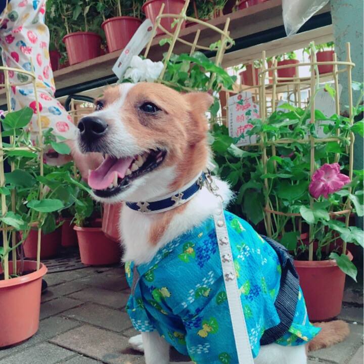 819bc216 2886 465f b979 78d8c623e651