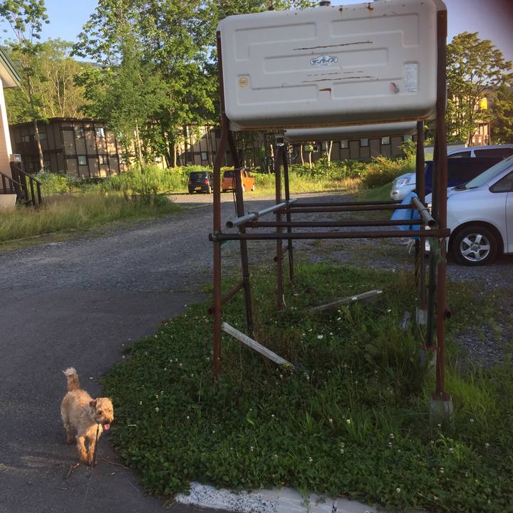 819c5b82 4360 4732 9428 d77b75472201