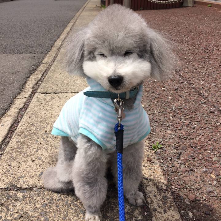 819c61d2 616c 4e73 ad53 68bf933f7f7a