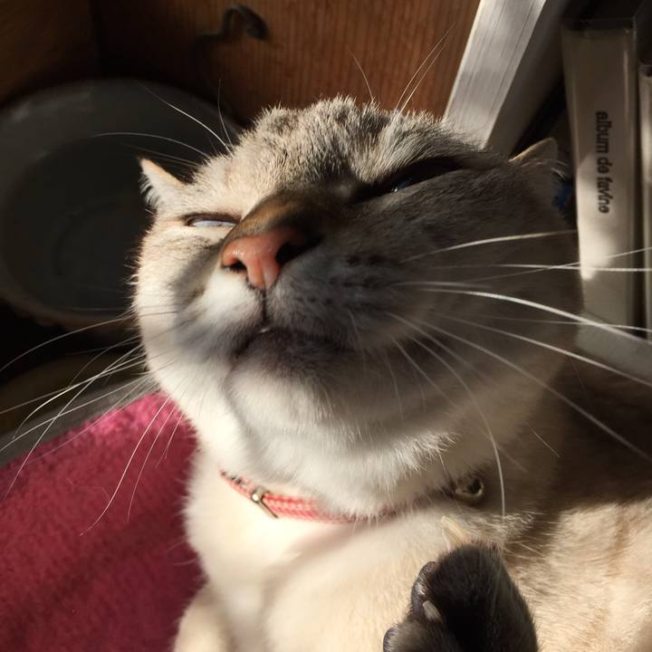 819d00b1 280a 44c5 8ea4 9101fad38780