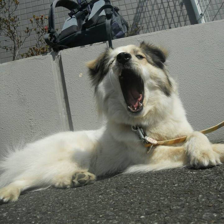 819dca14 d17b 4102 93cf 54e5e989c73a