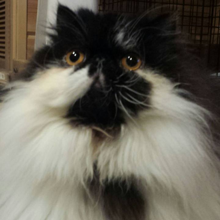 819dd6ac a89f 45ee 8dfa b460c41f85b3