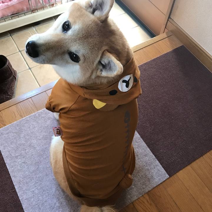 819e3494 adf8 4192 95e1 3441daec9a14