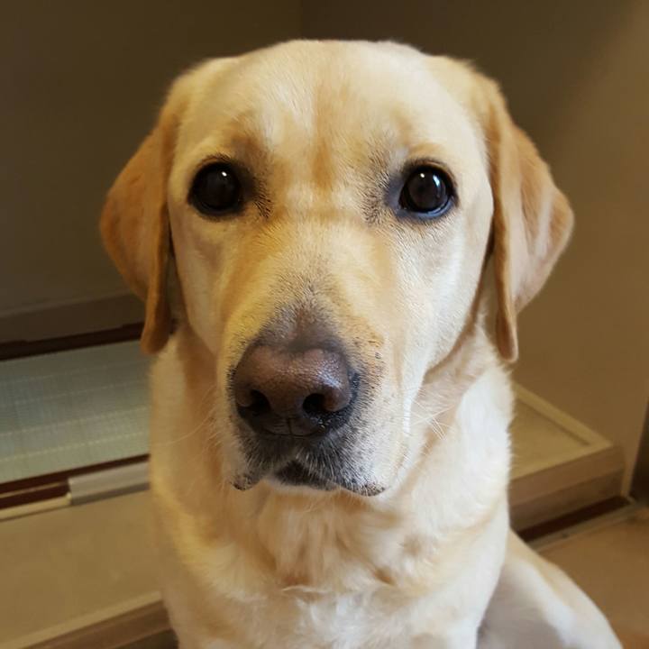 819e9630 7ea9 4f46 bad4 8c060bfee5d2