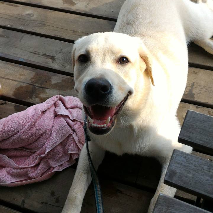 819e9798 ff89 4c8a 8606 5ba3990bf35d