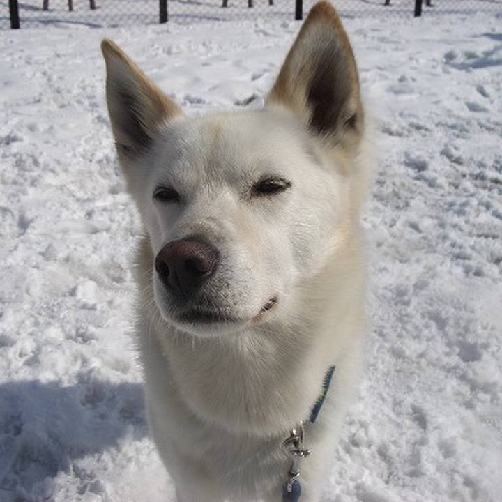 819f46ce bb3f 4990 a4ad 37b99f64be8d