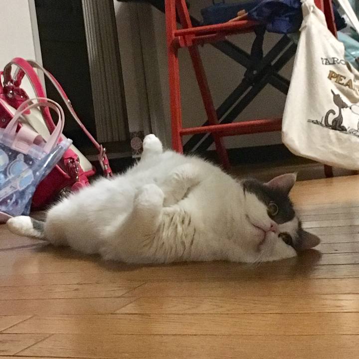 819f9e12 77bf 446d be24 b45e70937d3e