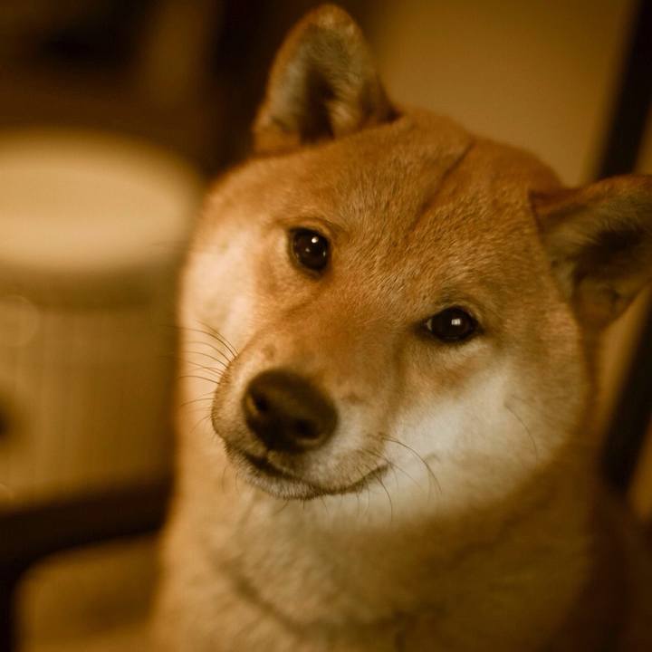 819fb95e 2a0c 40e0 89f5 441f09de6d00