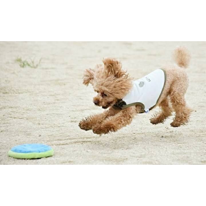 81a07303 7223 4cb3 a7fb 0b14853a2b8a