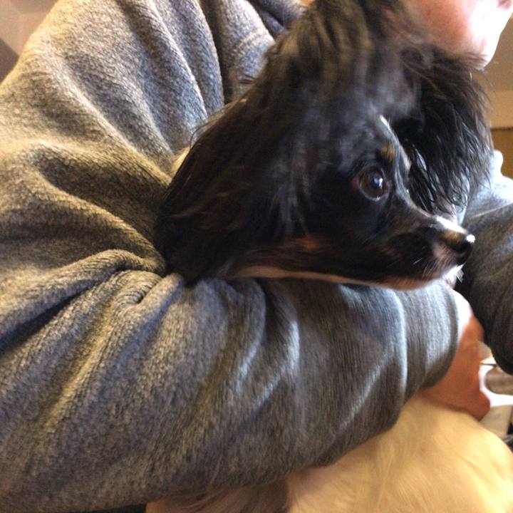 81a110cf 80cb 4512 bfc2 bb5e237cf6b8