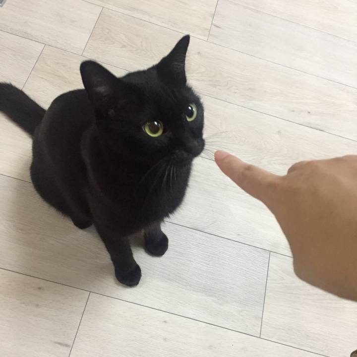 81a1f0aa 5ee0 43cc 8cd1 f3425717858e