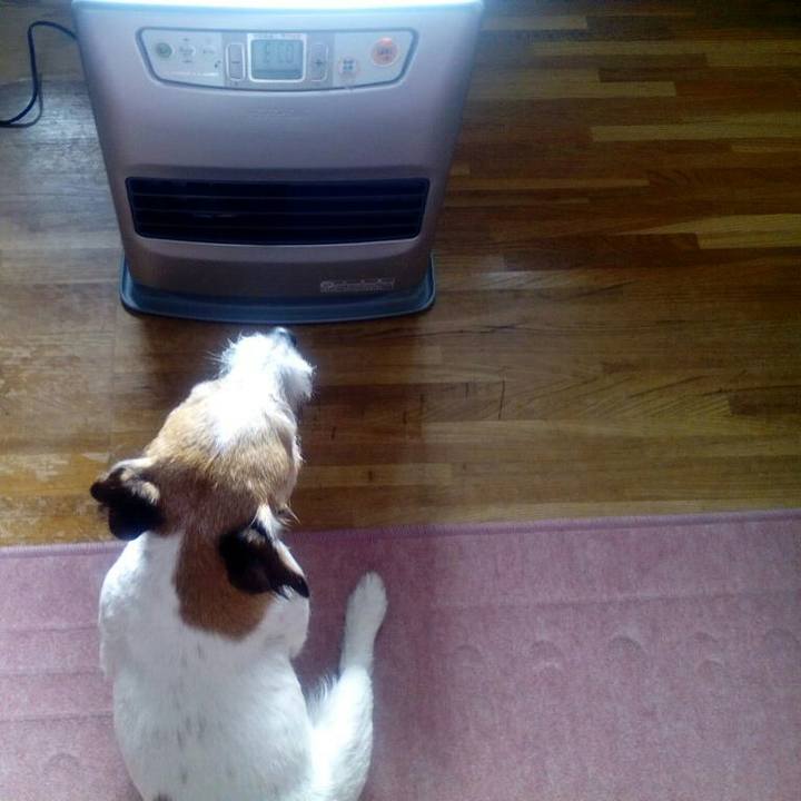 81a24441 1f1f 4669 8378 b2e6a9e4bb3b