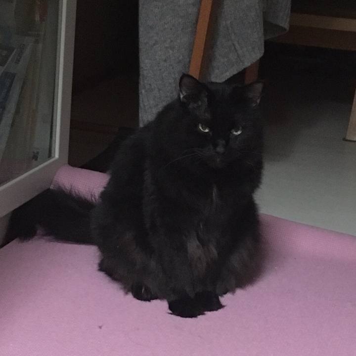 81a2f9c7 f463 4865 8148 2fa2ac6b6f9a