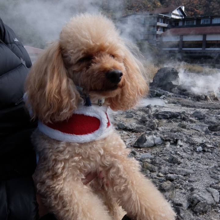 81a31c60 3988 4d02 b591 e8847e6282db