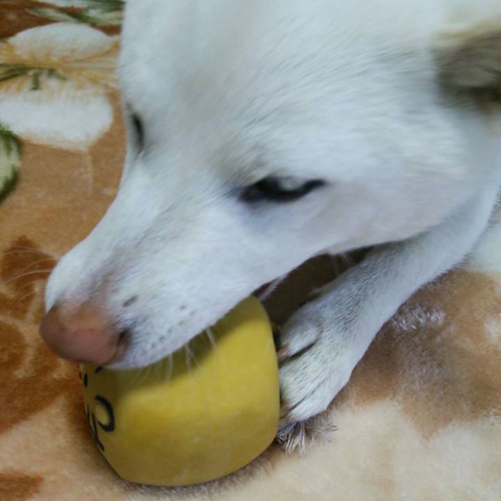 81a40edc 803f 4222 aec5 bc2227aa9264