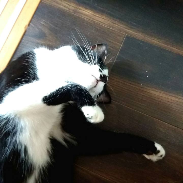 81a411cd 495e 48e3 998b a12c5e3edd17