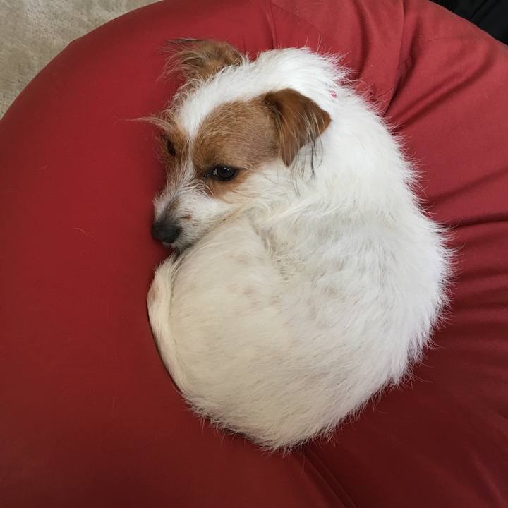 81a465ac fcc1 457d 855a ff78678f1a52