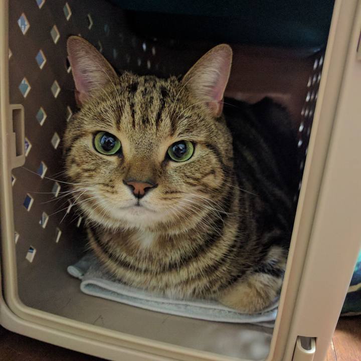 81a48fc9 65d0 438c a6c4 4240863dd4da