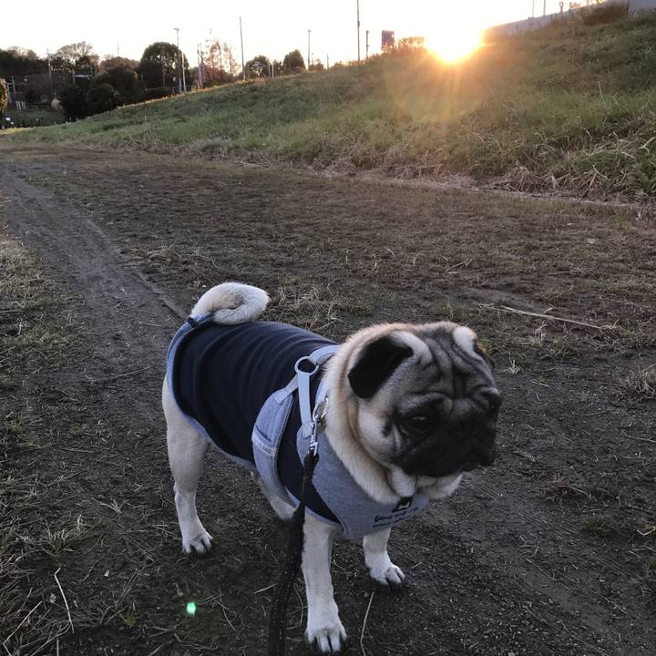 81a4cc60 6436 4b88 b801 ed786d843bcd