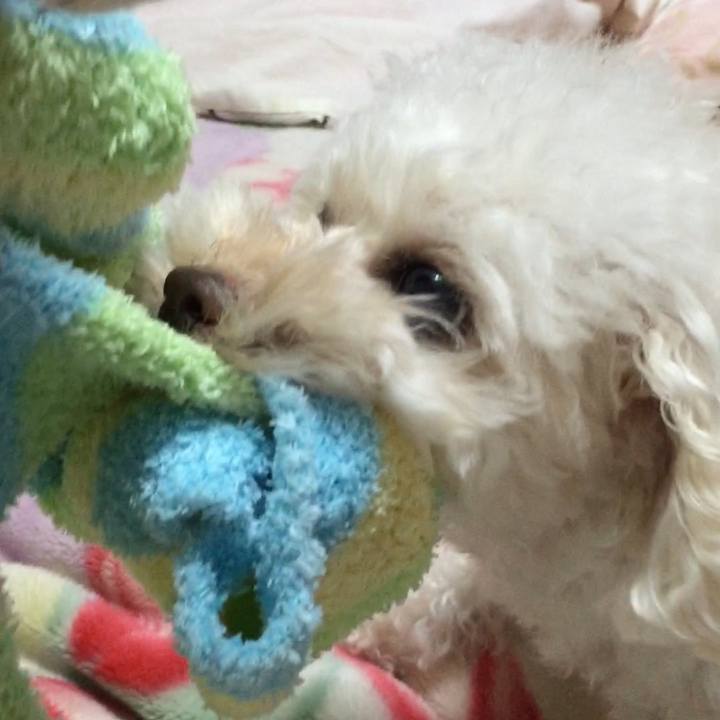 81a54c9a 6a93 4248 a90d 0eb5d1f58a7a