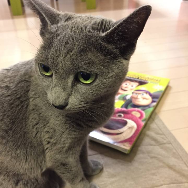 81a5c8e7 2ca2 4f18 aece 3fde539153ba