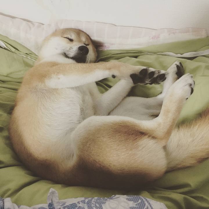 81a6a73c 0c2b 4361 a668 a0816ef926f4